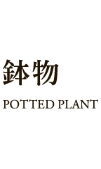 main_potted